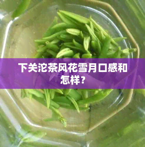 下关沱茶风花雪月口感和怎样？