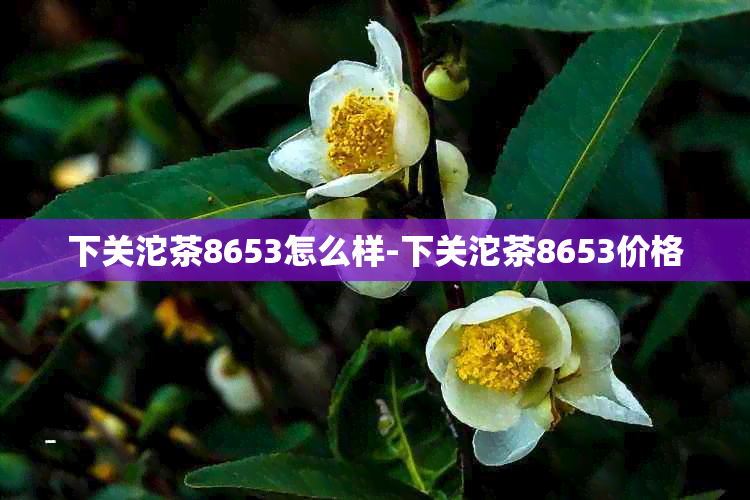 下关沱茶8653怎么样-下关沱茶8653价格