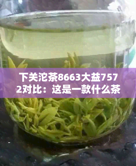 下关沱茶8663大益7572对比：这是一款什么茶？价格如何？