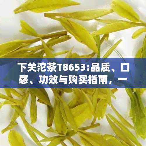 下关沱茶T8653:品质、口感、功效与购买指南，一次解答用户所有疑问