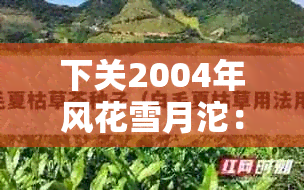 下关2004年风花雪月沱：全景回顾、美景解析、旅游指南与当地特色介绍