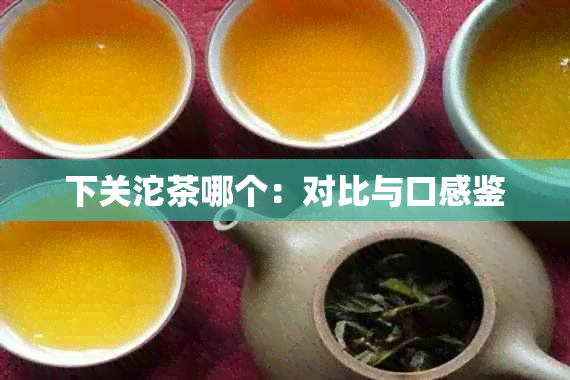 下关沱茶哪个：对比与口感鉴