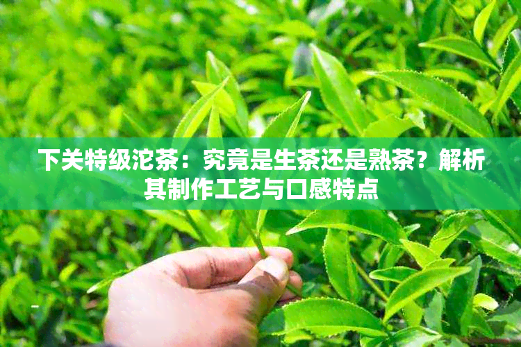 下关特级沱茶：究竟是生茶还是熟茶？解析其制作工艺与口感特点