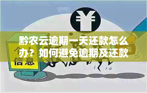 黔农云逾期一天还款怎么办？如何避免逾期及还款相关问题解答