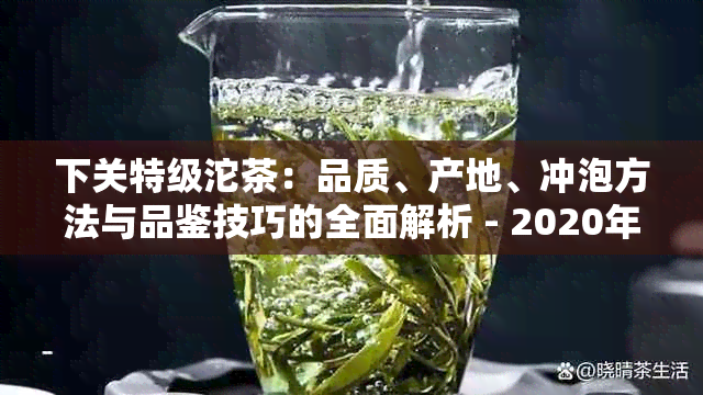 下关特级沱茶：品质、产地、冲泡方法与品鉴技巧的全面解析 - 2020年版