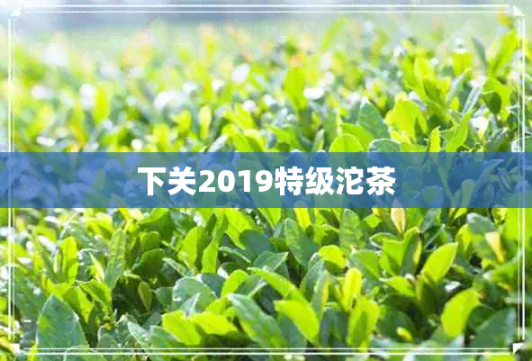 下关2019特级沱茶