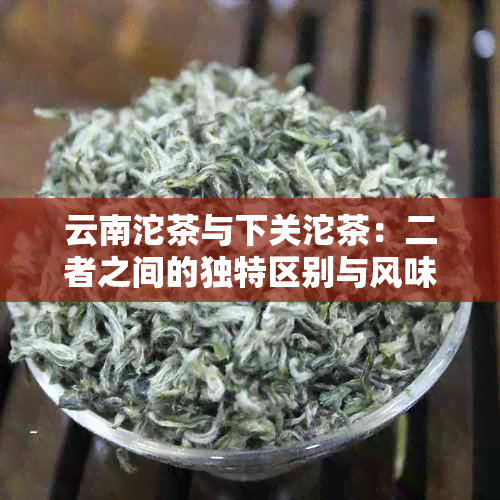 云南沱茶与下关沱茶：二者之间的独特区别与风味对比