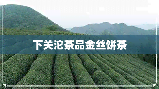 下关沱茶品金丝饼茶