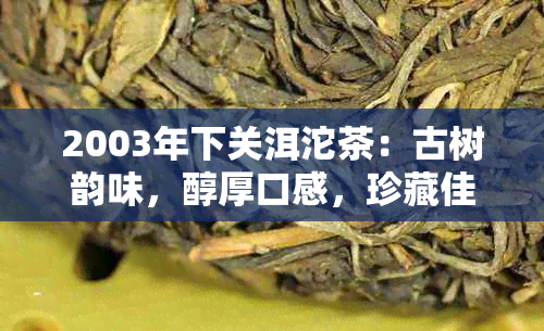 2003年下关洱沱茶：古树韵味，醇厚口感，珍藏佳品