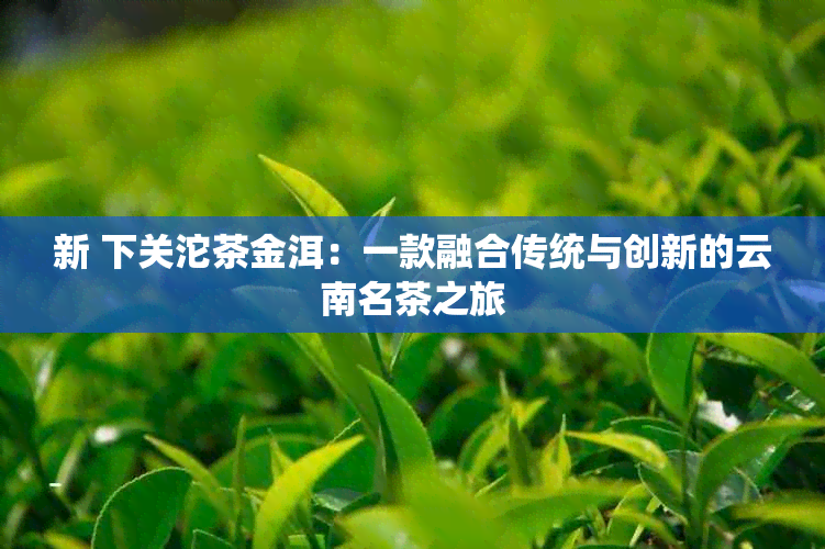 新 下关沱茶金洱：一款融合传统与创新的云南名茶之旅