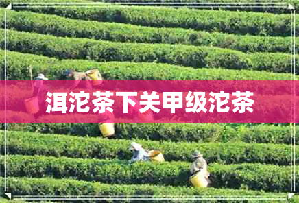 洱沱茶下关甲级沱茶