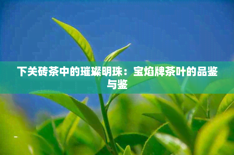 下关砖茶中的璀璨明珠：宝焰牌茶叶的品鉴与鉴