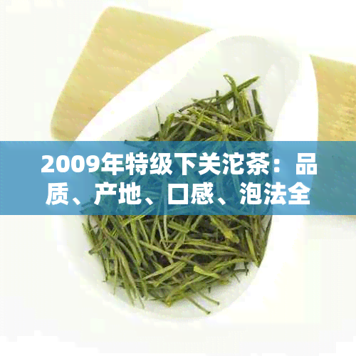 2009年特级下关沱茶：品质、产地、口感、泡法全方位解析与品鉴