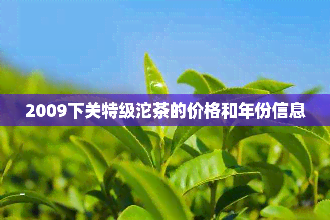 2009下关特级沱茶的价格和年份信息