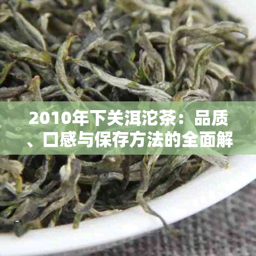 2010年下关洱沱茶：品质、口感与保存方法的全面解析