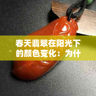 春天翡翠在阳光下的颜色变化：为什么会呈现淡紫色？