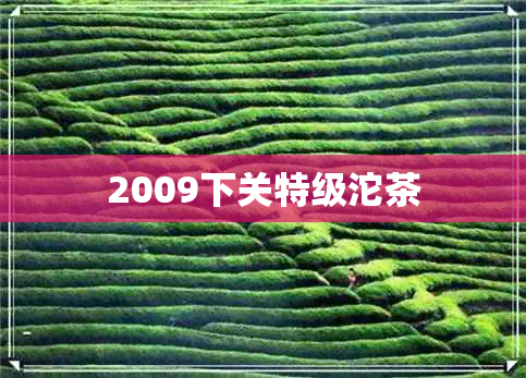 2009下关特级沱茶