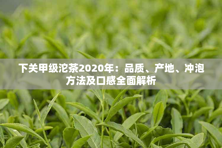 下关甲级沱茶2020年：品质、产地、冲泡方法及口感全面解析