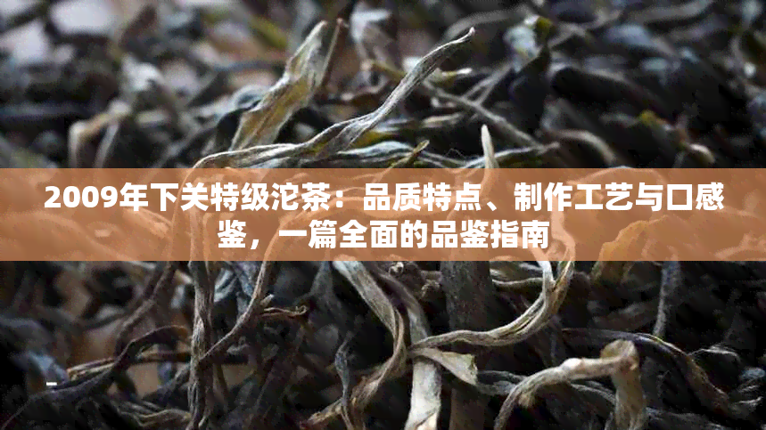 2009年下关特级沱茶：品质特点、制作工艺与口感鉴，一篇全面的品鉴指南