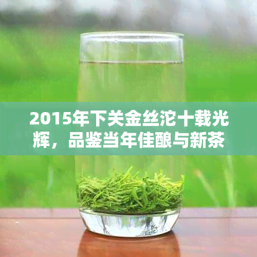 2015年下关金丝沱十载光辉，品鉴当年佳酿与新茶