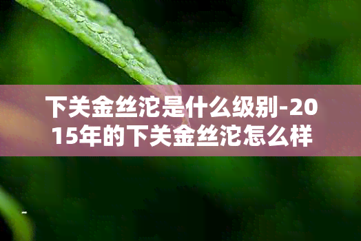 下关金丝沱是什么级别-2015年的下关金丝沱怎么样