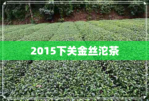 2015下关金丝沱茶