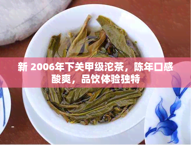 新 2006年下关甲级沱茶，陈年口感酸爽，品饮体验独特