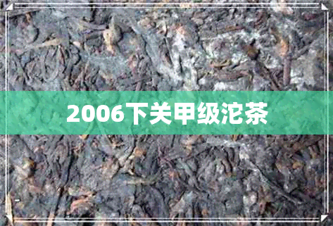 2006下关甲级沱茶