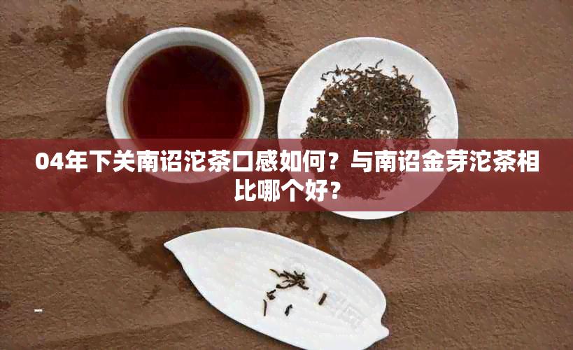 04年下关南诏沱茶口感如何？与南诏金芽沱茶相比哪个好？