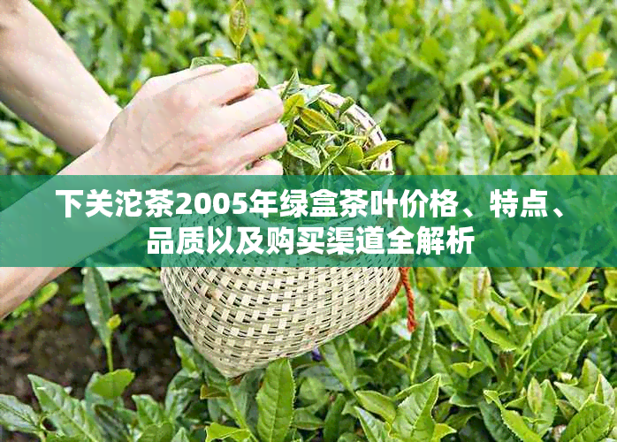 下关沱茶2005年绿盒茶叶价格、特点、品质以及购买渠道全解析