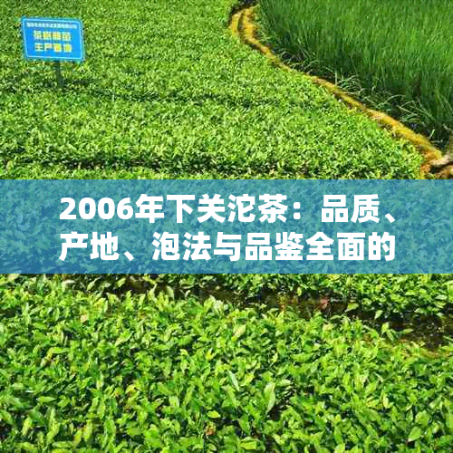 2006年下关沱茶：品质、产地、泡法与品鉴全面的解析与了解