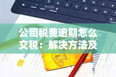 公司税费逾期怎么交税：解决方法及后果