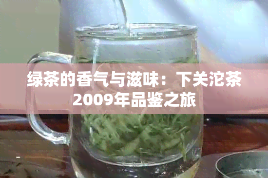 绿茶的香气与滋味：下关沱茶2009年品鉴之旅