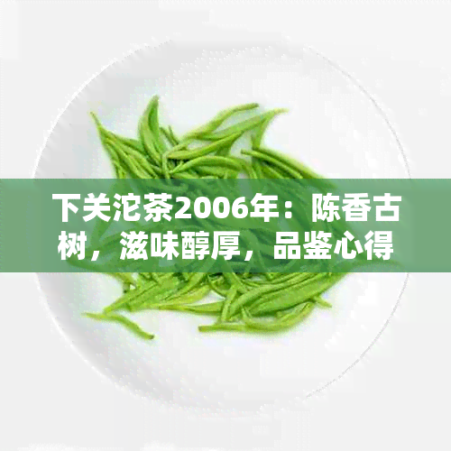 下关沱茶2006年：陈香古树，滋味醇厚，品鉴心得分享