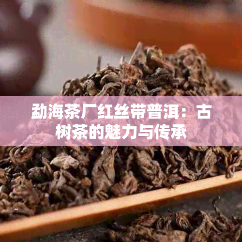 勐海茶厂红丝带普洱：古树茶的魅力与传承