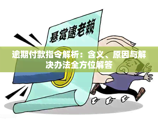 逾期付款指令解析：含义、原因与解决办法全方位解答