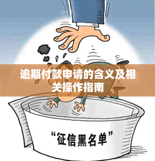 逾期付款申请的含义及相关操作指南