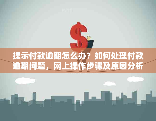 提示付款逾期怎么办？如何处理付款逾期问题，网上操作步骤及原因分析