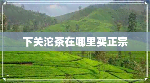 下关沱茶在哪里买正宗