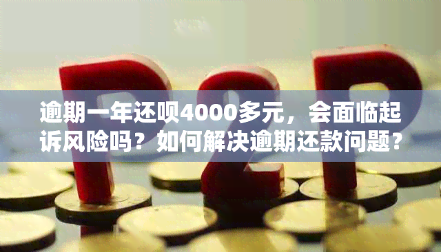 逾期一年还款4000多元，会面临起诉风险吗？如何解决逾期还款问题？