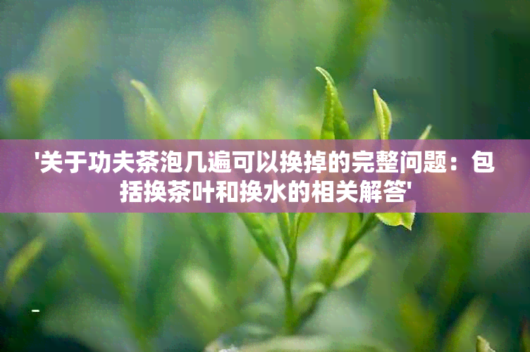 '关于功夫茶泡几遍可以换掉的完整问题：包括换茶叶和换水的相关解答'