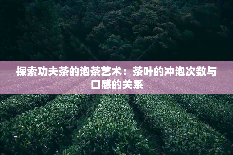 探索功夫茶的泡茶艺术：茶叶的冲泡次数与口感的关系