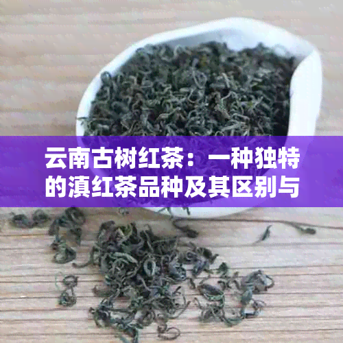 云南古树红茶：一种独特的滇红茶品种及其区别与特点