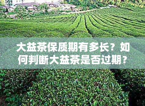 大益茶保质期有多长？如何判断大益茶是否过期？