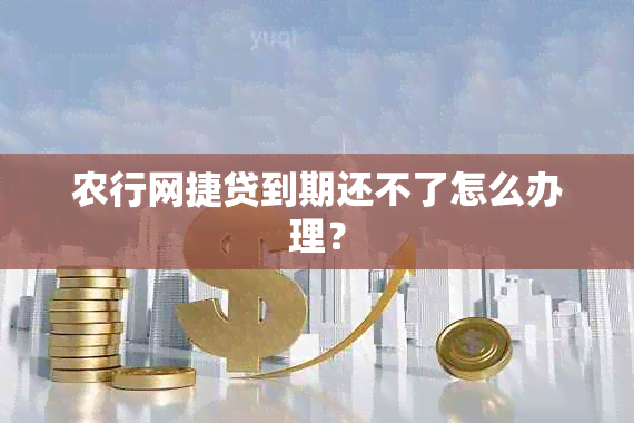 农行网捷贷到期还不了怎么办理？