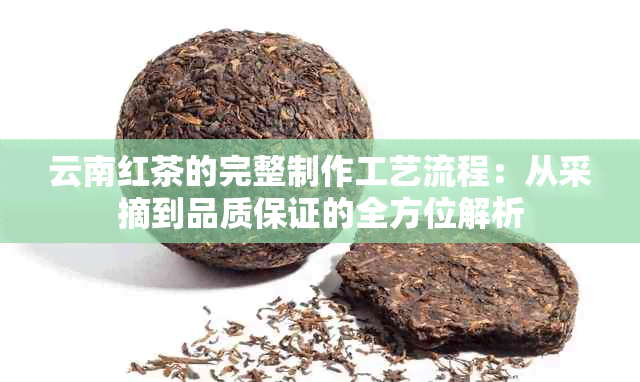 云南红茶的完整制作工艺流程：从采摘到品质保证的全方位解析