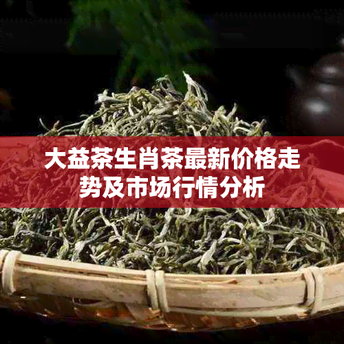 大益茶生肖茶最新价格走势及市场行情分析