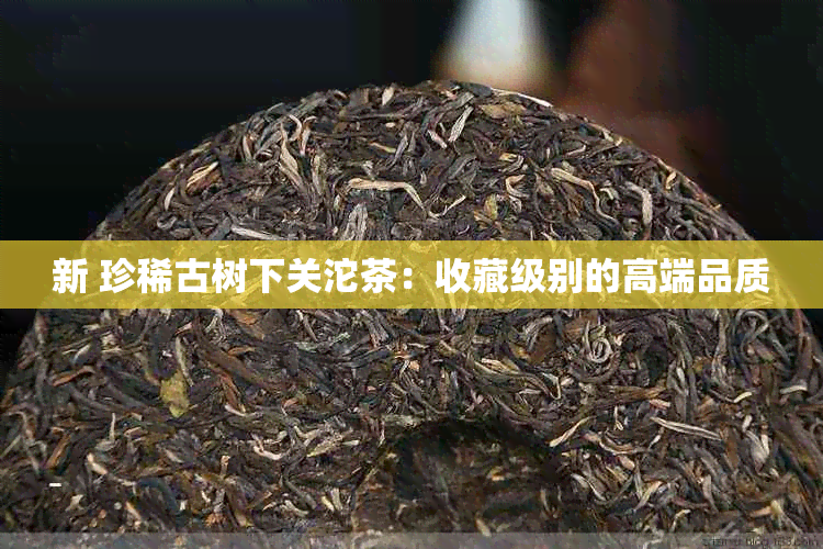 新 珍稀古树下关沱茶：收藏级别的高端品质