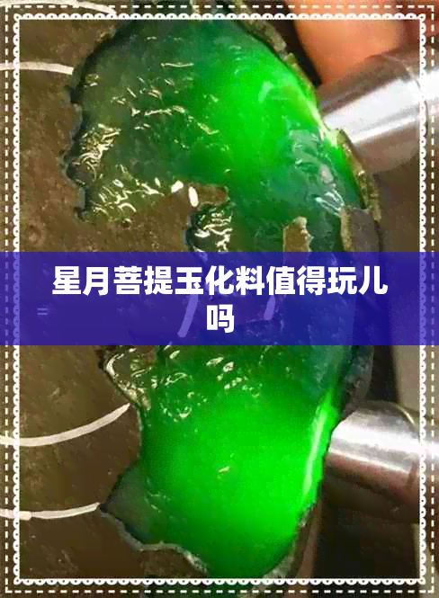 星月菩提玉化料值得玩儿吗