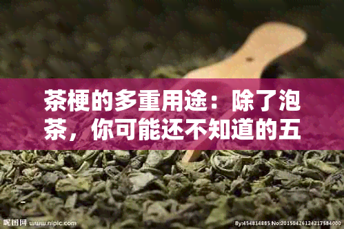 茶梗的多重用途：除了泡茶，你可能还不知道的五大作用